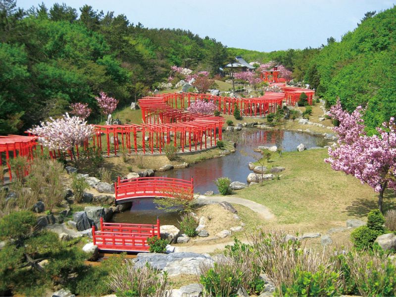 canh-cong-torii-7